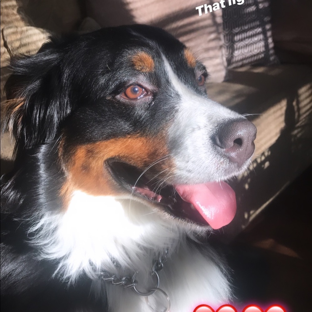 Meet your Posher, Dulce